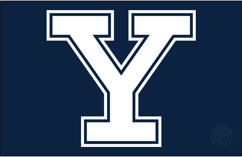 Yale Bulldogs 2019-Pres Primary Dark Logo diy DTF decal sticker